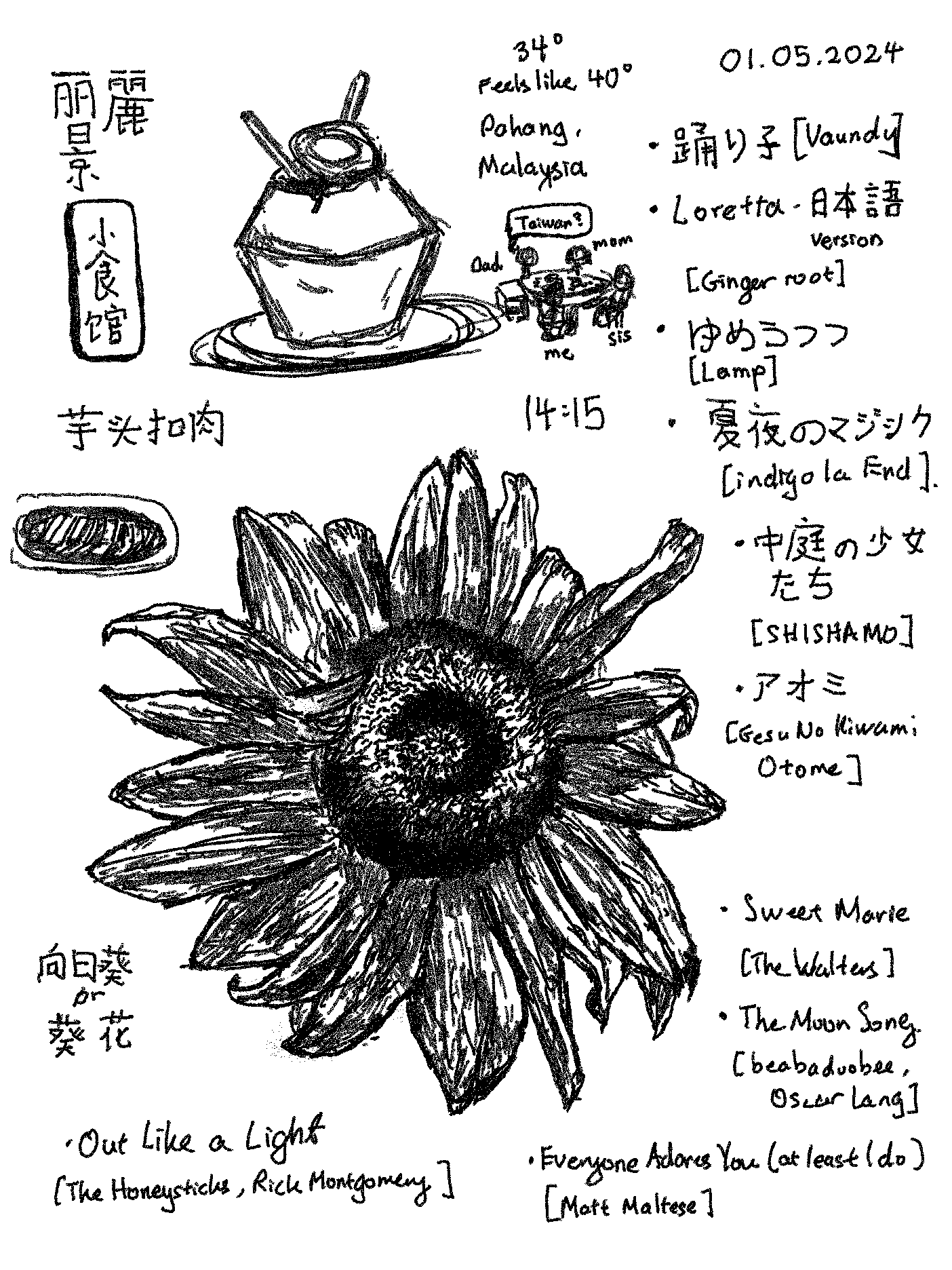sunflowersketch sketch